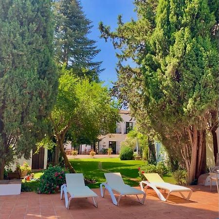 Un Autentico Oasis Rodeado De Historia Ronda Exteriör bild